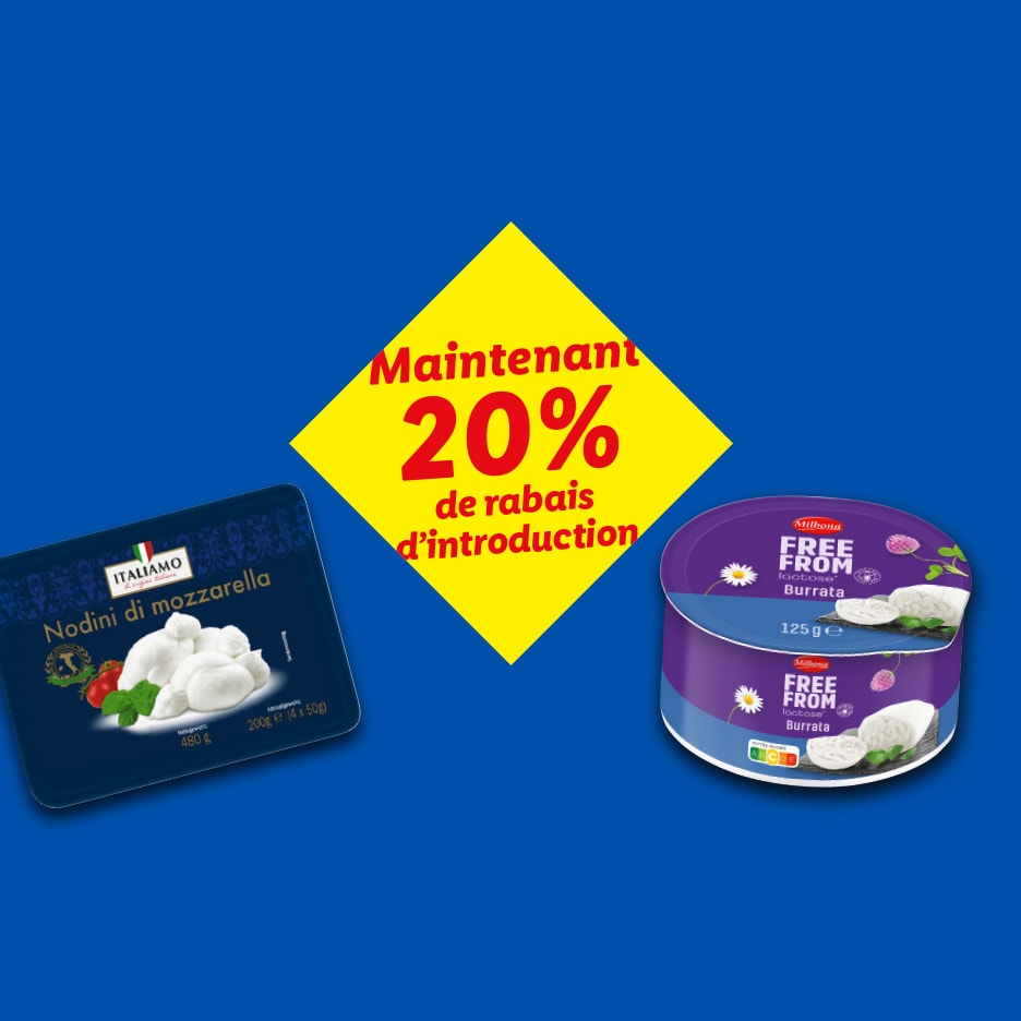 Maintenant 20% de rabais d'introduction