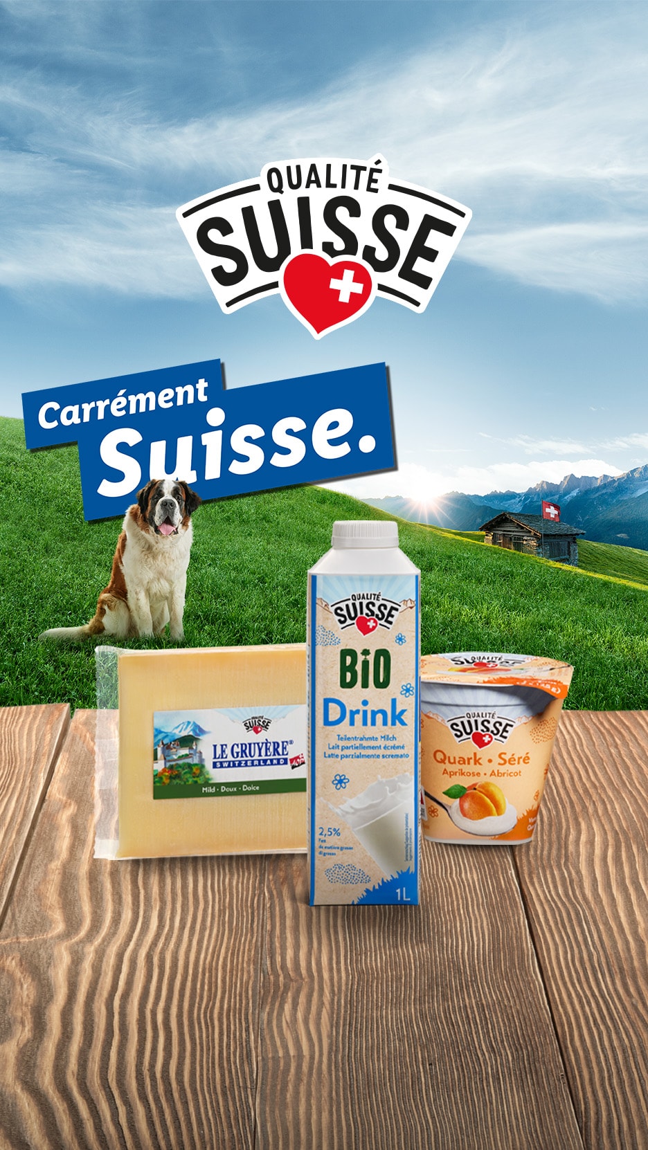 Schweizer Käse, Bio-Milchgetränk und Quark vor Alpenkulisse mit Bernhardiner.