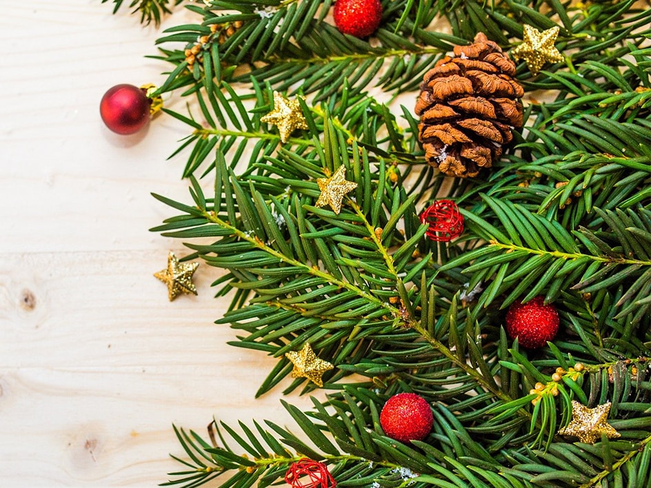 Épinette blanche et branches de sapin 🌲