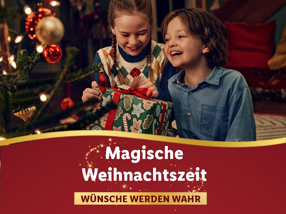 Holzspielwaren zum Lidl Preis!