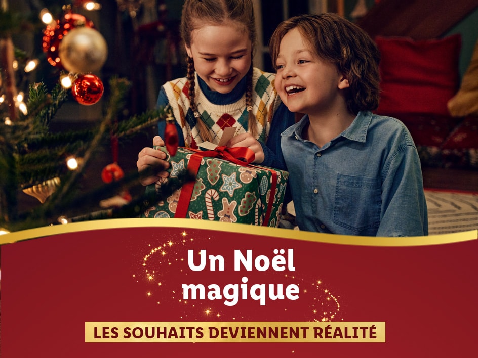 Des jouets en bois à prix Lidl!