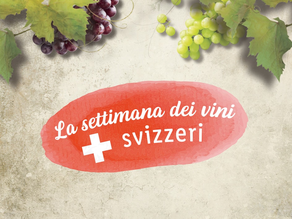 Vini svizzeri di prima categoria 🍷