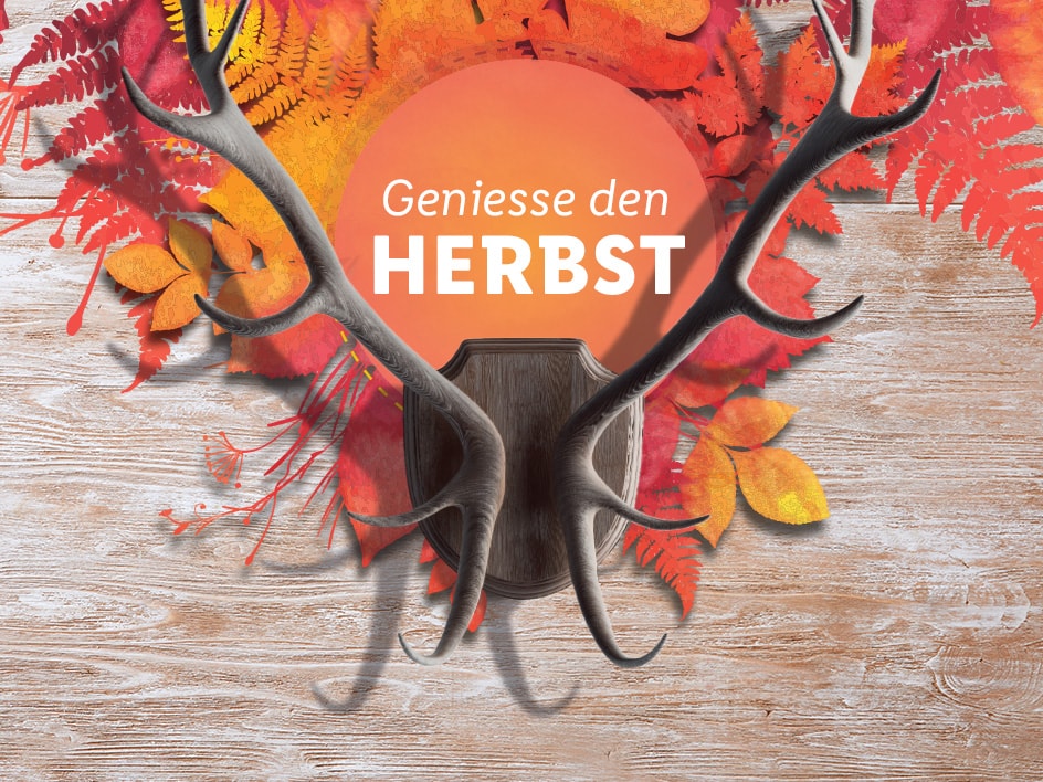 Geniesse den Herbst