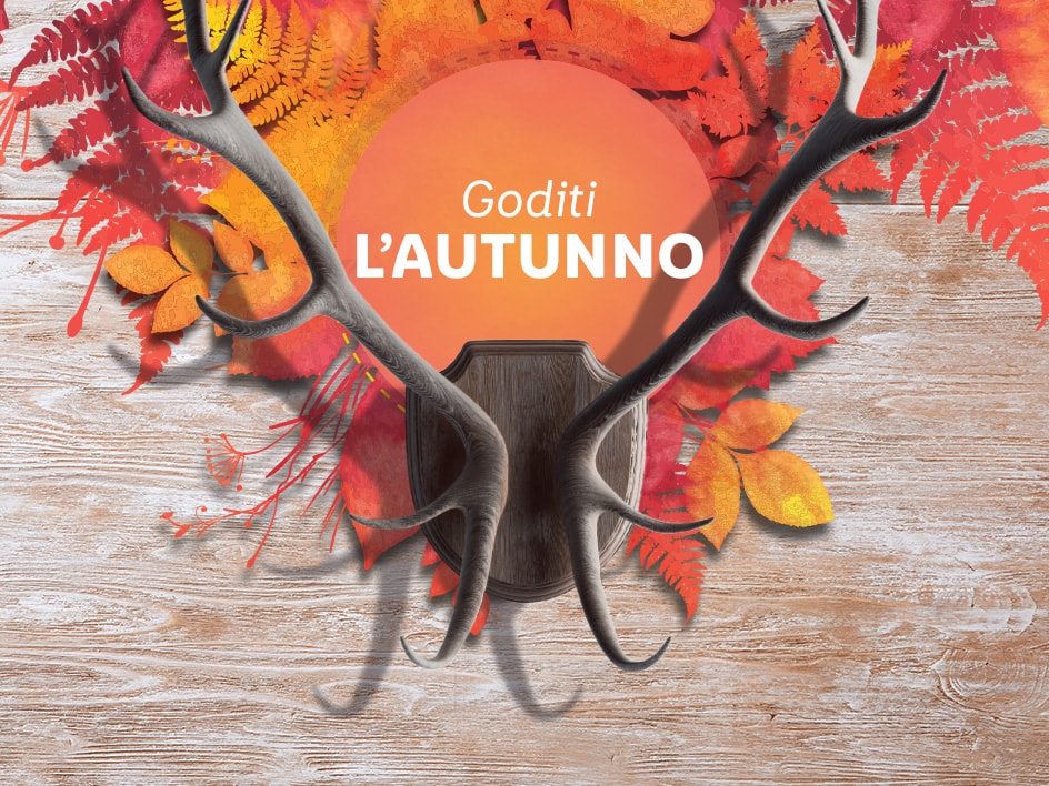 Goditi l’autunno