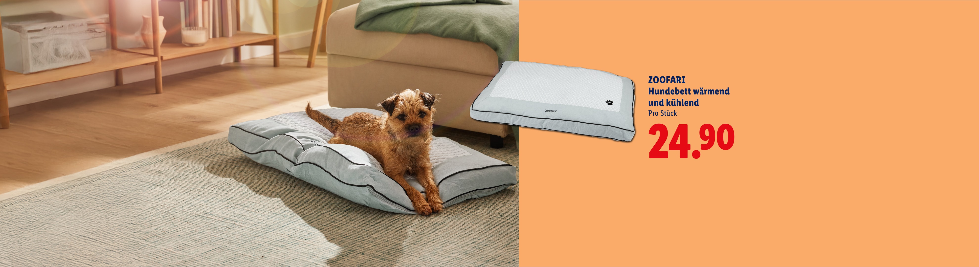 Ein Hund auf einem wärmenden und kühlenden Hundebett, Preis 24,90.