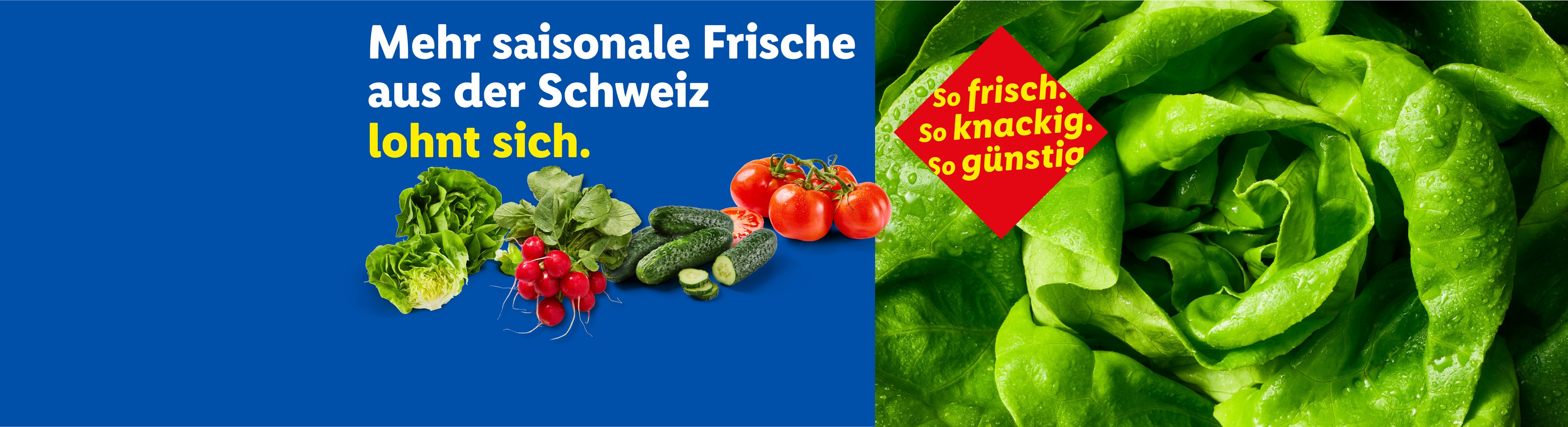 Frisches Gemüse wie Salat, Radieschen, Gurken und Tomaten mit dem Text: „Mehr saisonale Frische aus der Schweiz lohnt sich. So frisch. So knackig. So günstig.“